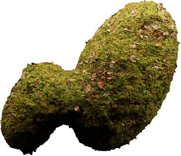 Logo Folks Végétalisé